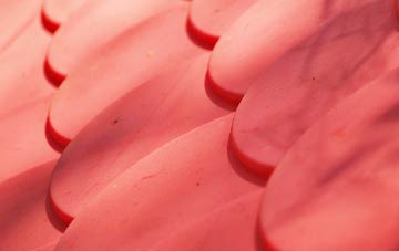 Cheveley plastic roof costs